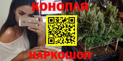прущие грибы Коммунар