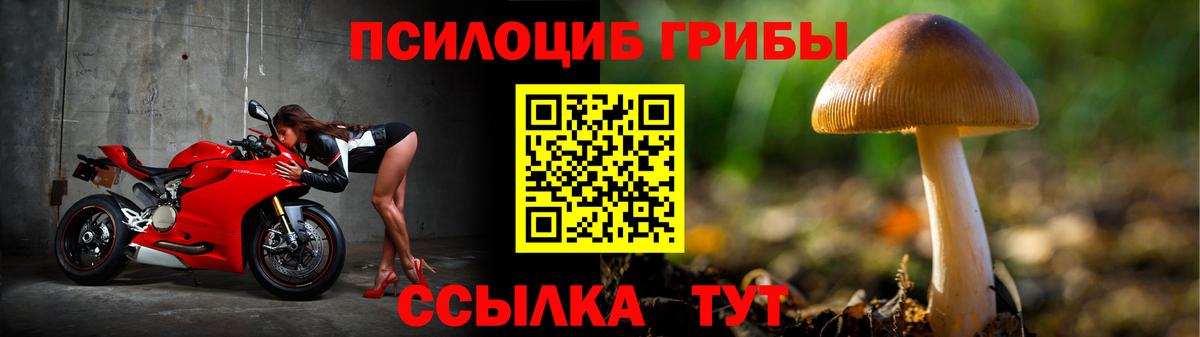 Псилоцибиновые грибы ЛСД  Псилоцибиновые грибы GOLDEN TEACHER  Карталы  Вход с VPN 